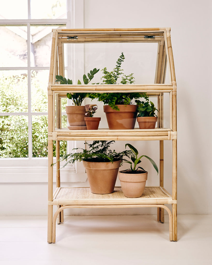 PLANT CABINETS
