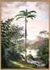 Jungle Scenery | 112 x 158 cm