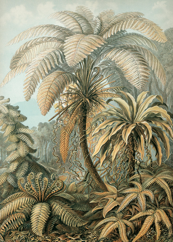 Sepia Ferns | 112 x 158 cm