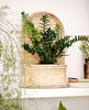 SECONDS Arched Wall planter
